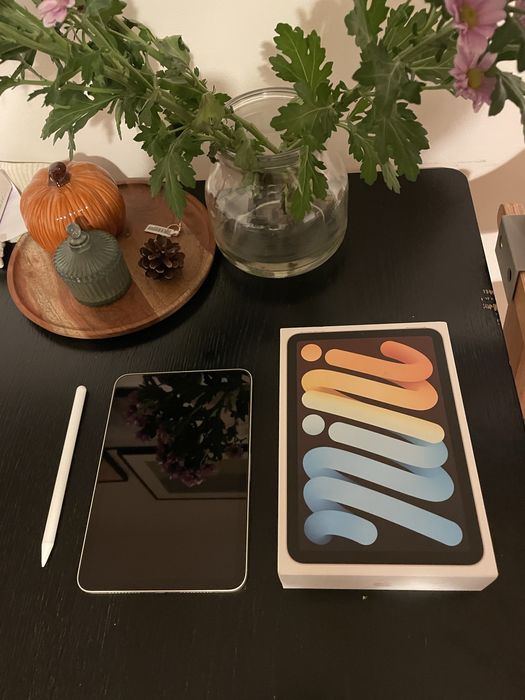 Ipad mini 6 + etui i rysik