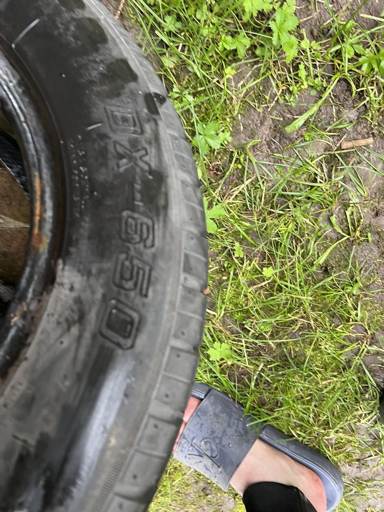 Резина літо 185/60 R 14 Delfin пара !!!7,5 mm!!!