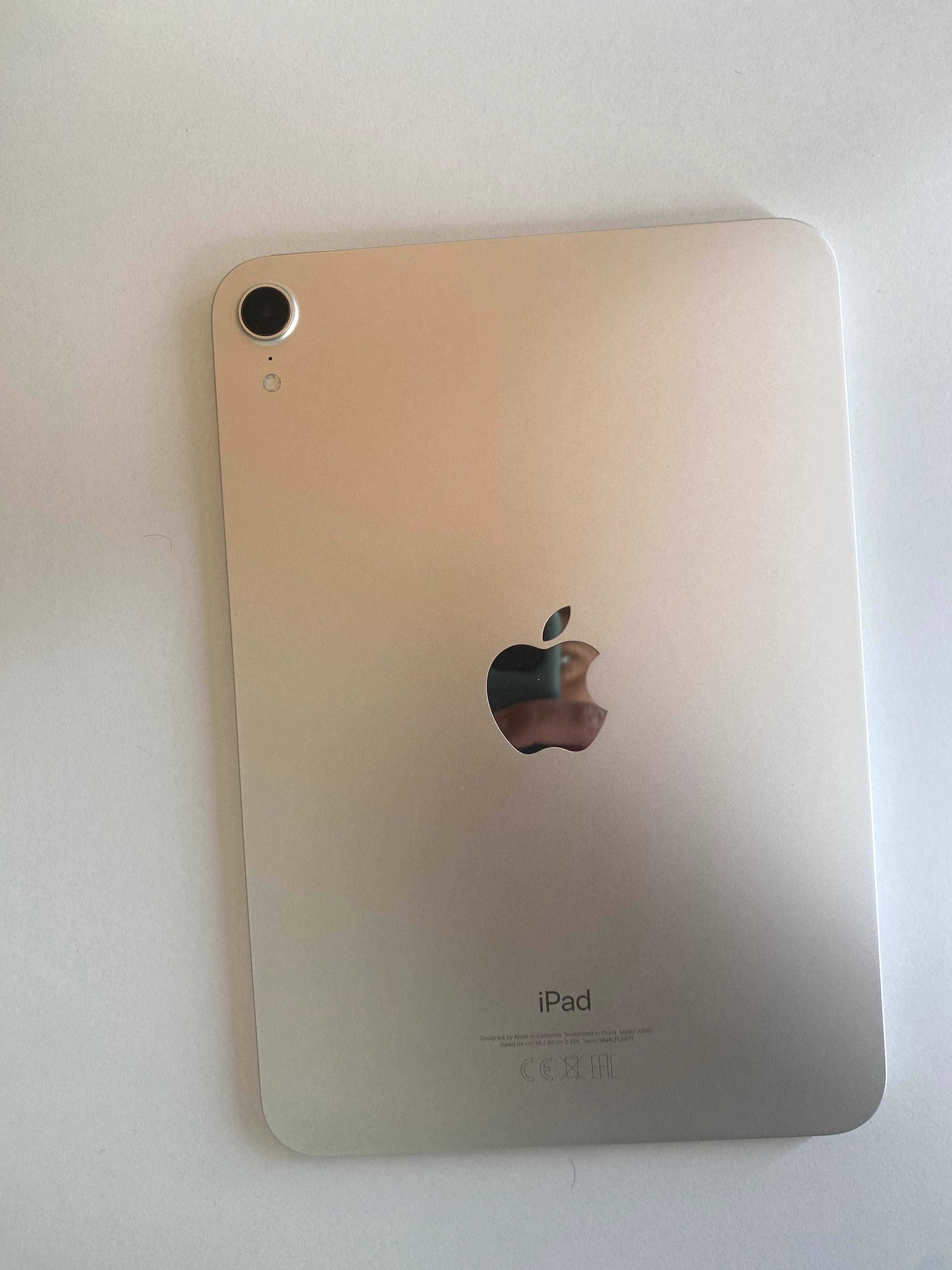 Ipad Mini (6th Generation) com Apple Pencil (USB-C) - 256 GB