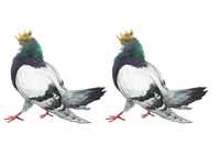 Wydruk skrobiowy Picardo - pigeon