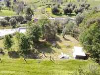 Terreno em Fornelos e Queijada de 1730,00 m2