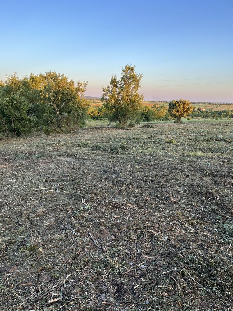 Prestação de servicos agricolas, florestais e jardinagem