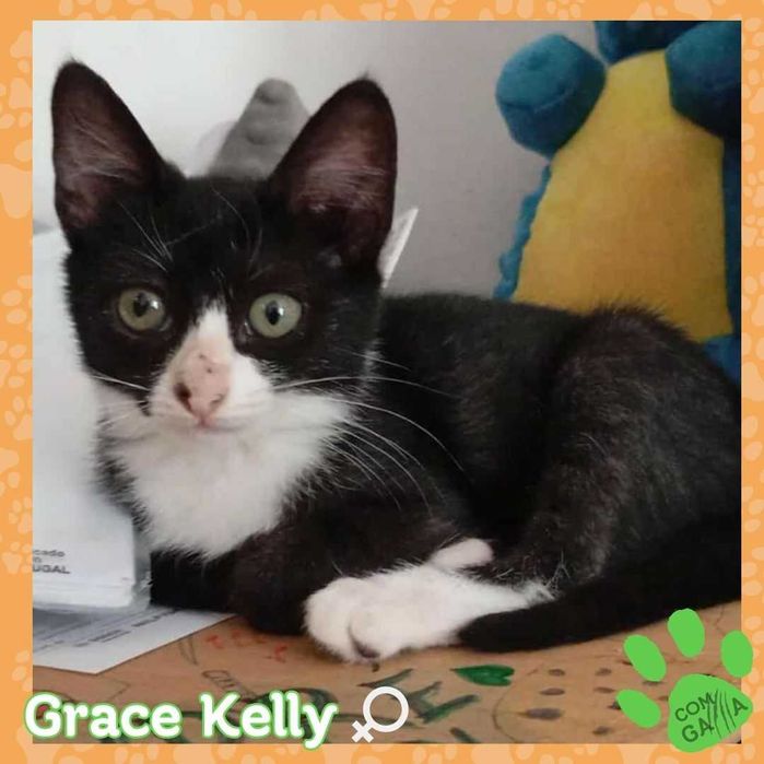 Grace Keely, 2,5 meses