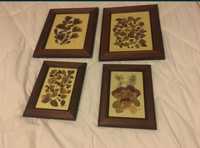 4 quadros com flores secas, quadro em madeira boa