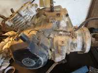 Yamaha timberwolf