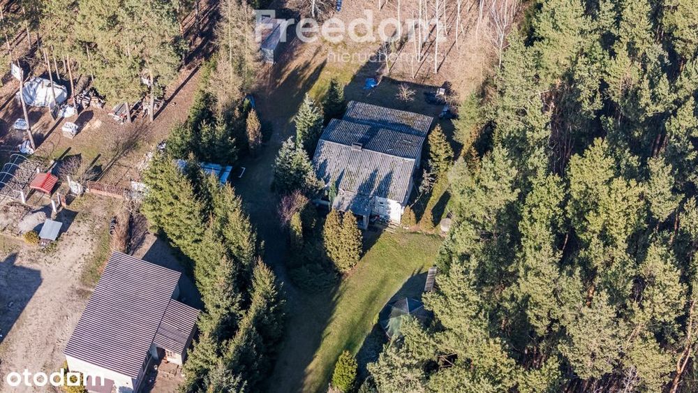 Dom do remontu na dużej działce