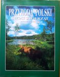 Album - Przyroda Polski. Świat zwierząt - Andrzej Stachurski