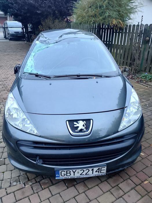 Peugeot 206 w całości lub na części