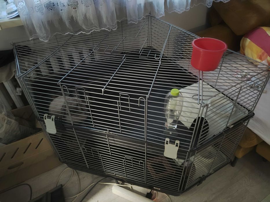 Duża, piętrowa, narożna klatka