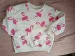 Zara 98 flamingi