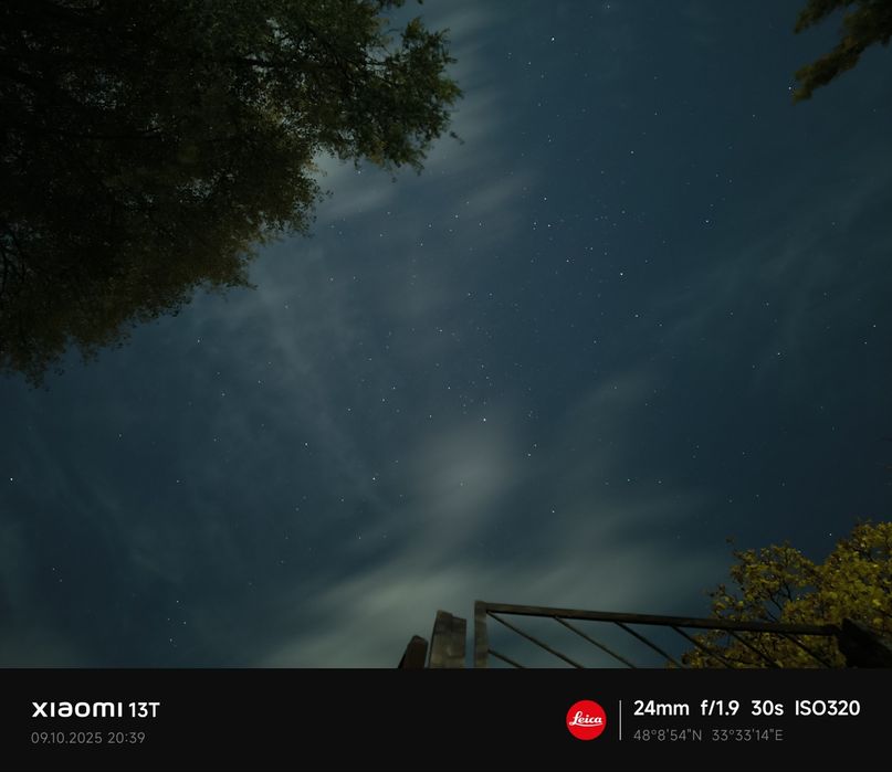 Мустанг фортуна 200