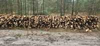 Drewno sosnowe zrębowe