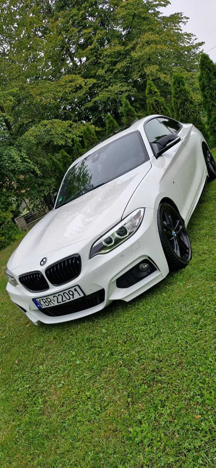 Bmw 220d F22 M Pakiet KW Friedrich M Performance
