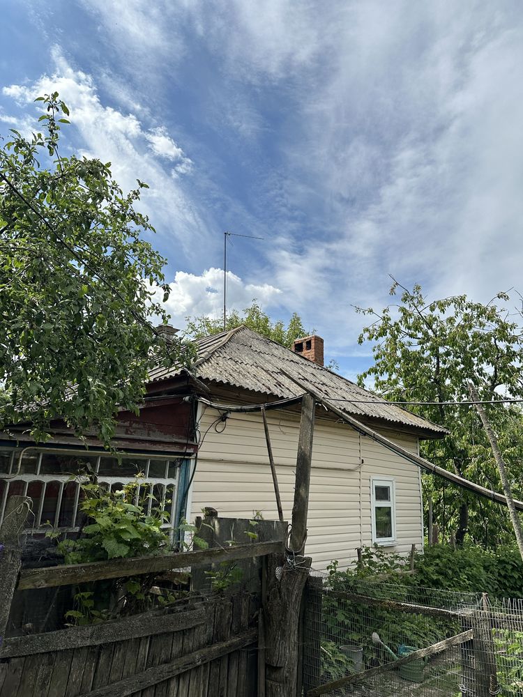 Продається будинок в с. Олишівка
