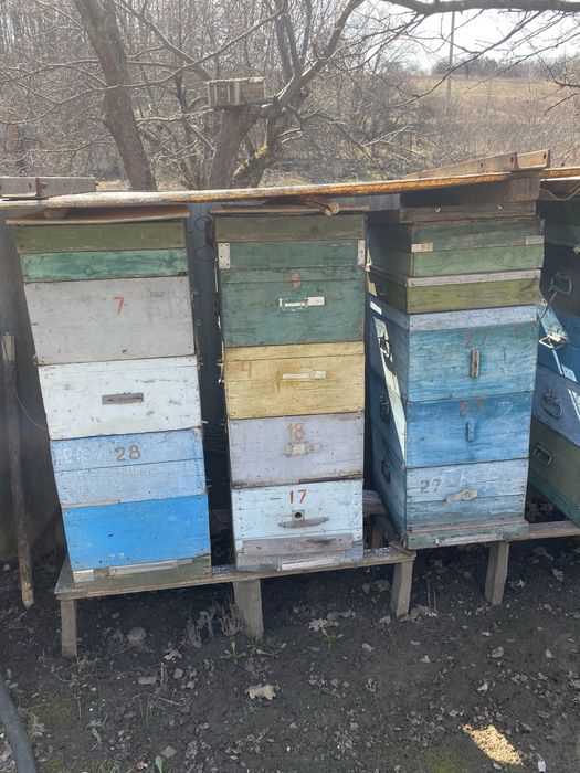 Вулики для бджіл