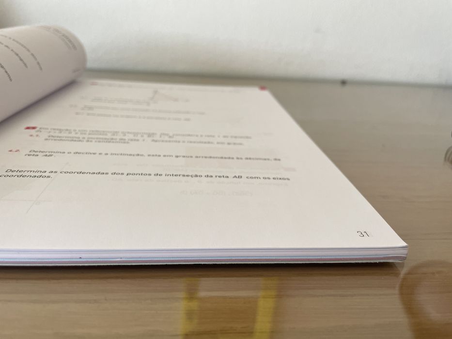 Caderno prático/atividades 11•ano- Novo Espaço