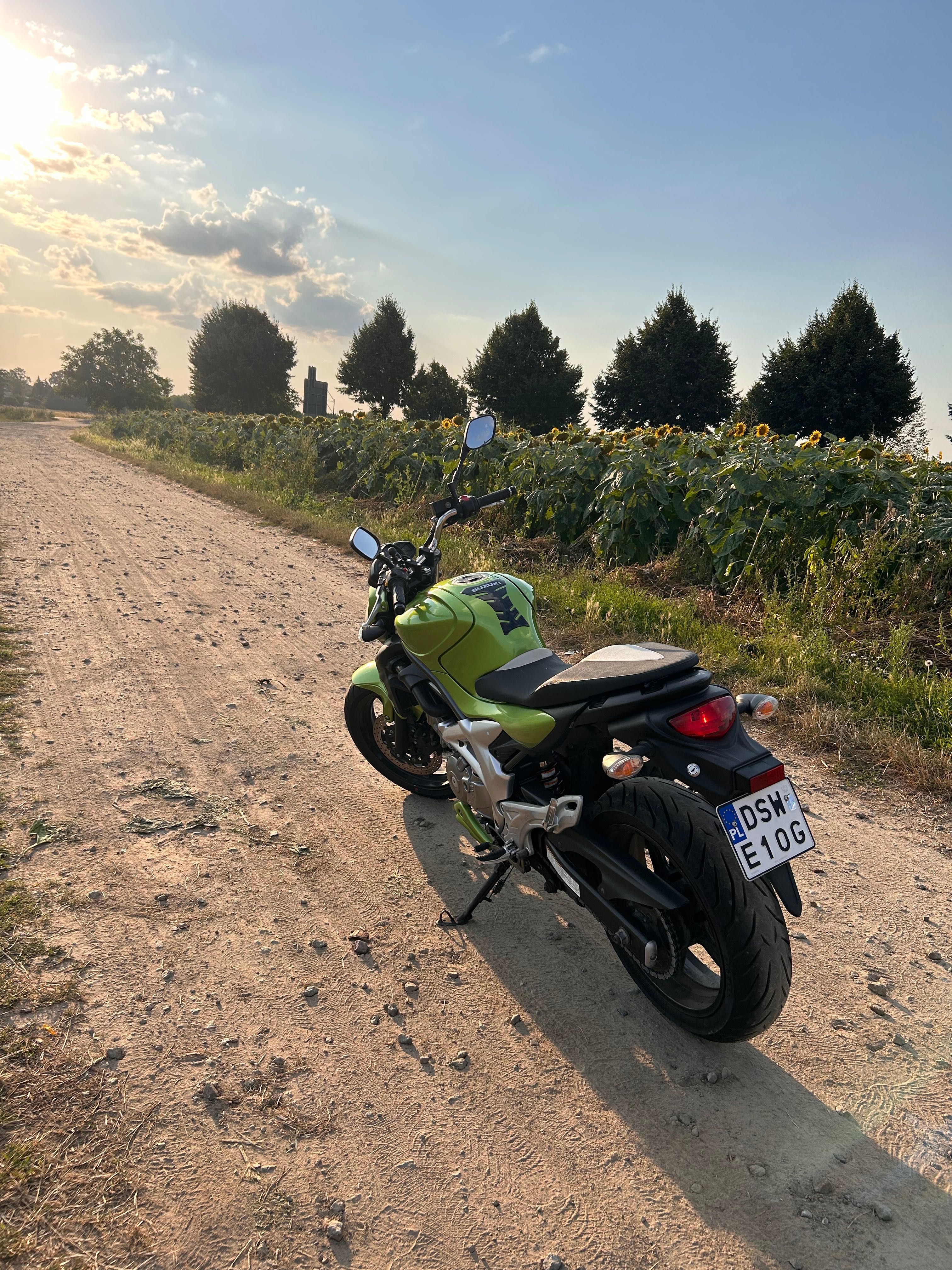 Suzuki Gladius 650