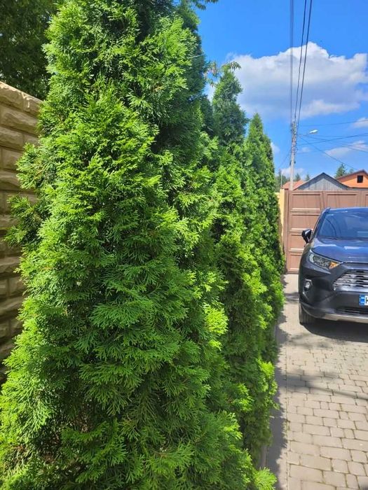 Продажа 2х этажного дома Залютино Холодная Гора