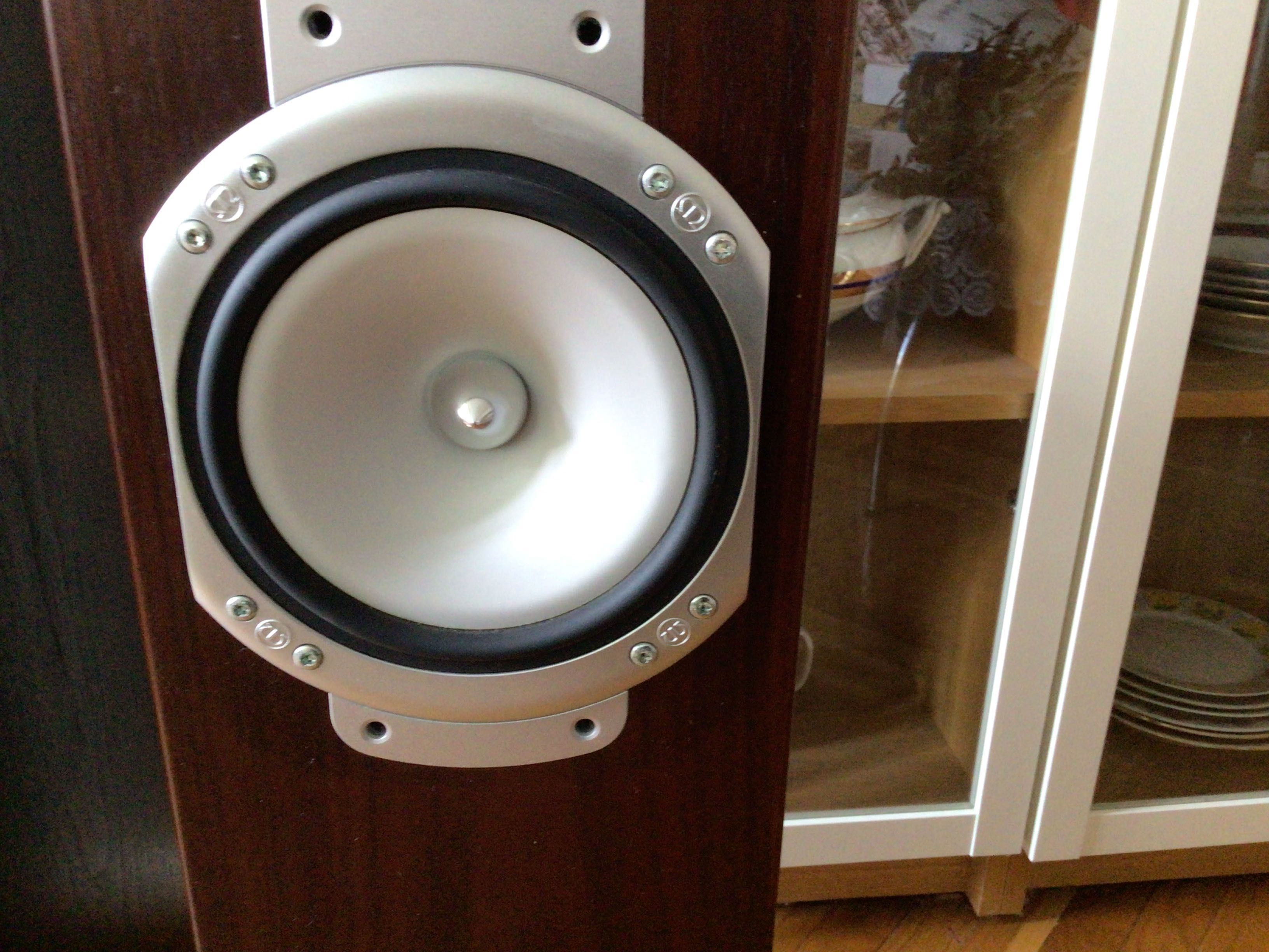 Monitor Audio RS5