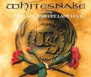 Whitesnake - 8 CDs - Raros - MUITO BOM ESTADO