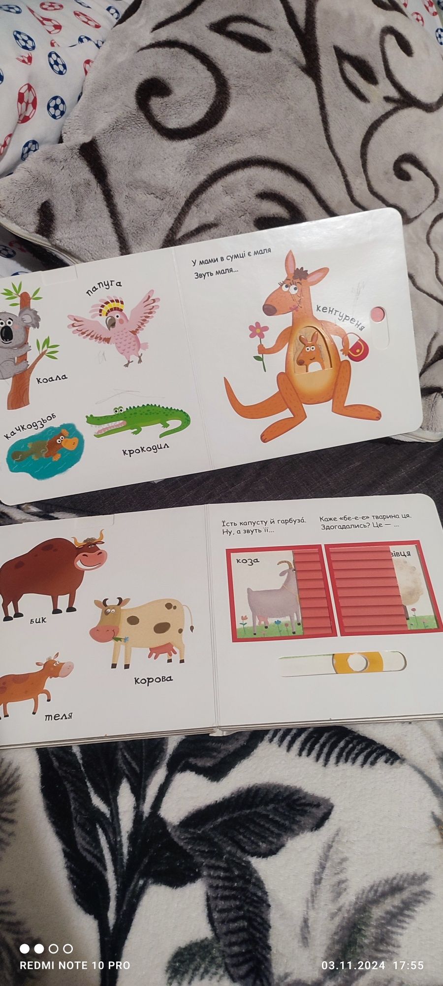 Книжки, книжечки, розвивашки, розвиваючі книжки
