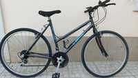 Vendo bicicleta.