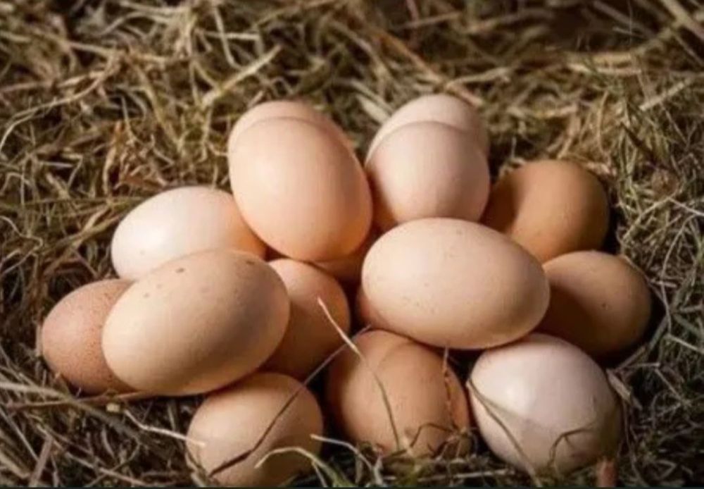 Sprzedam jajka 1.30zł