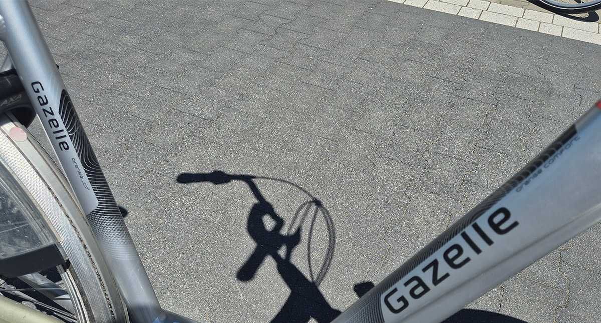 Gazelle Orange Nexus 7 rower damski męski rowery pakiet hurt FV23