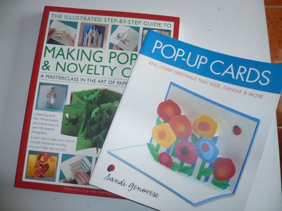 2 livros que ensinam a fazer cartões-inglês