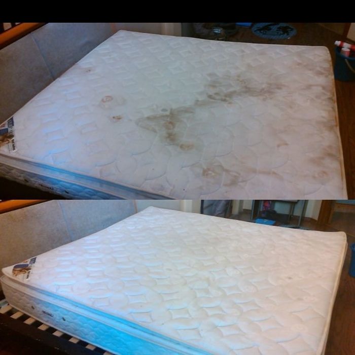 Химчистка на дому химчистка мебели,чистка ковров,матрасов,диванов