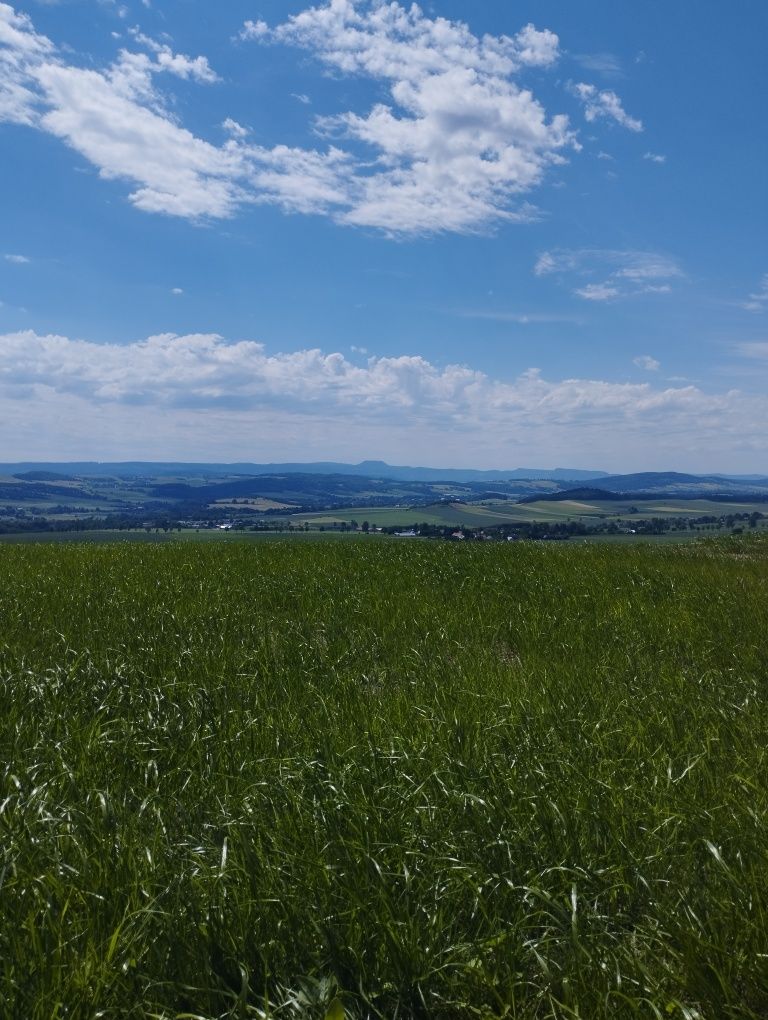 Domki w chmurach Polanica Zdrój ,Kudowa Zdrój