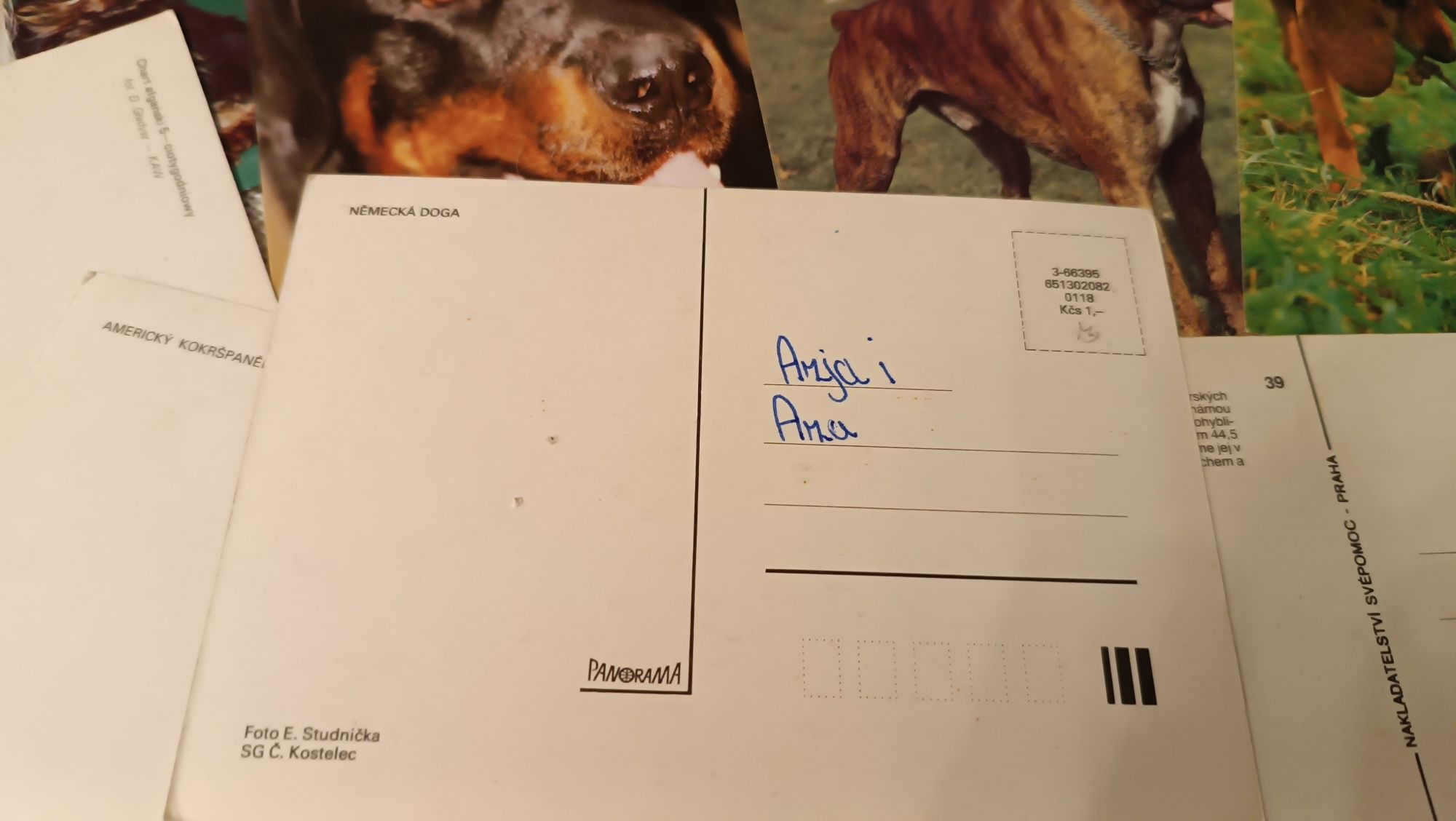 Pocztówki kartki stare pies psy zwierzęta zestaw 41 szt