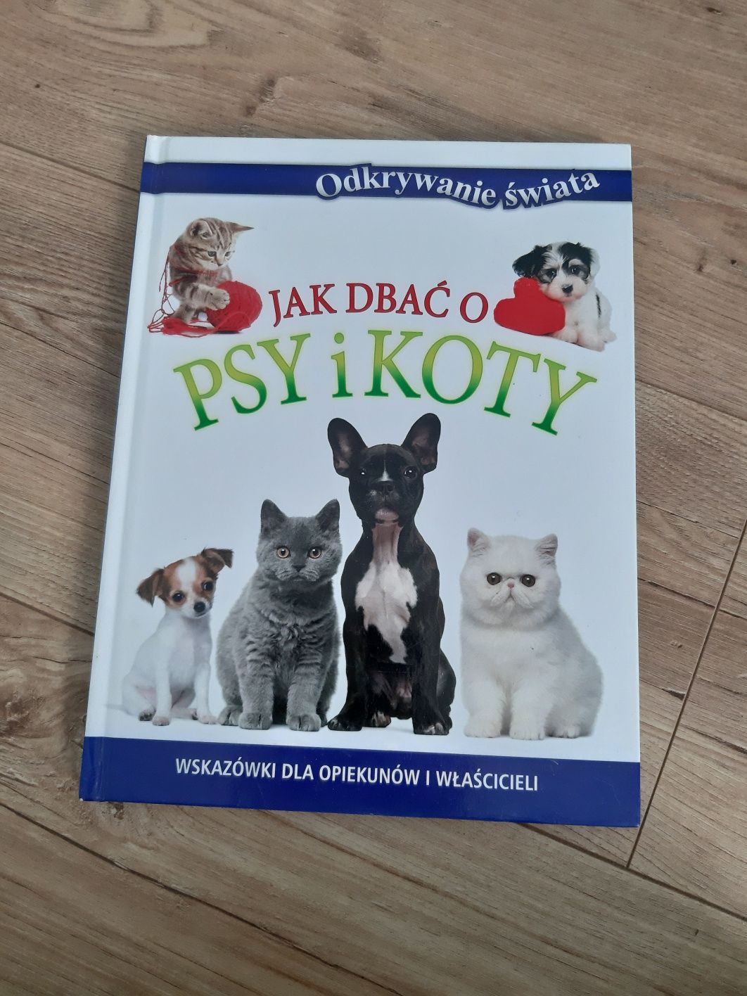 Jak dbać o psy i koty