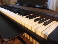 Синтезатор CT-S1 Casiotone