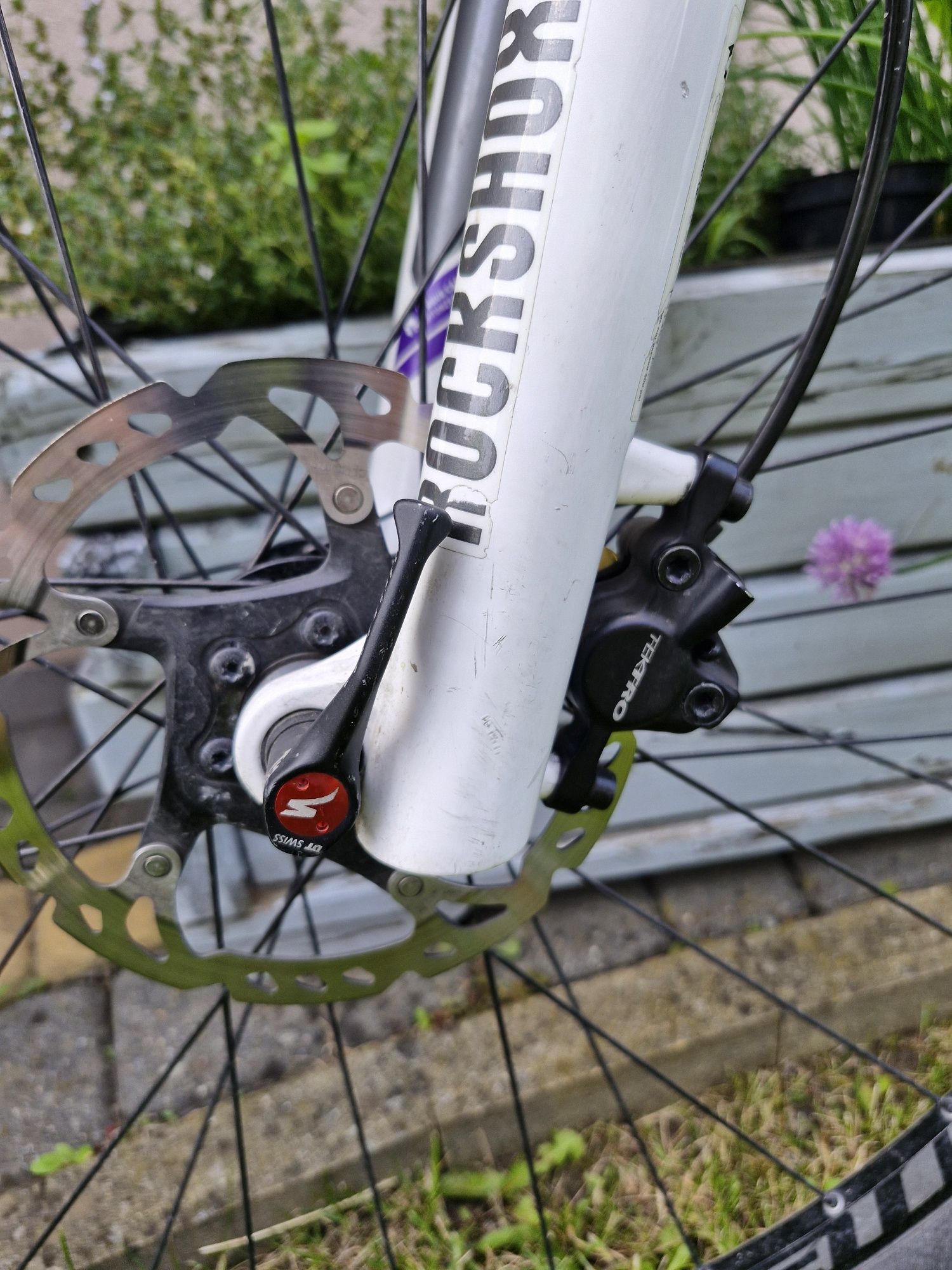 Specialized Rumor Comp