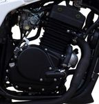 Запчасти под заказ на GEON 250-350 cc (nac, daytona, invader, tourer)