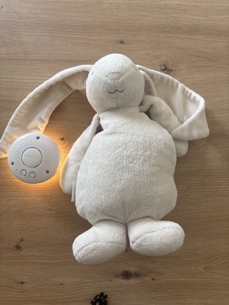 Króliczek Moonie