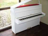 Pianino  rosler Petrof all inclusive