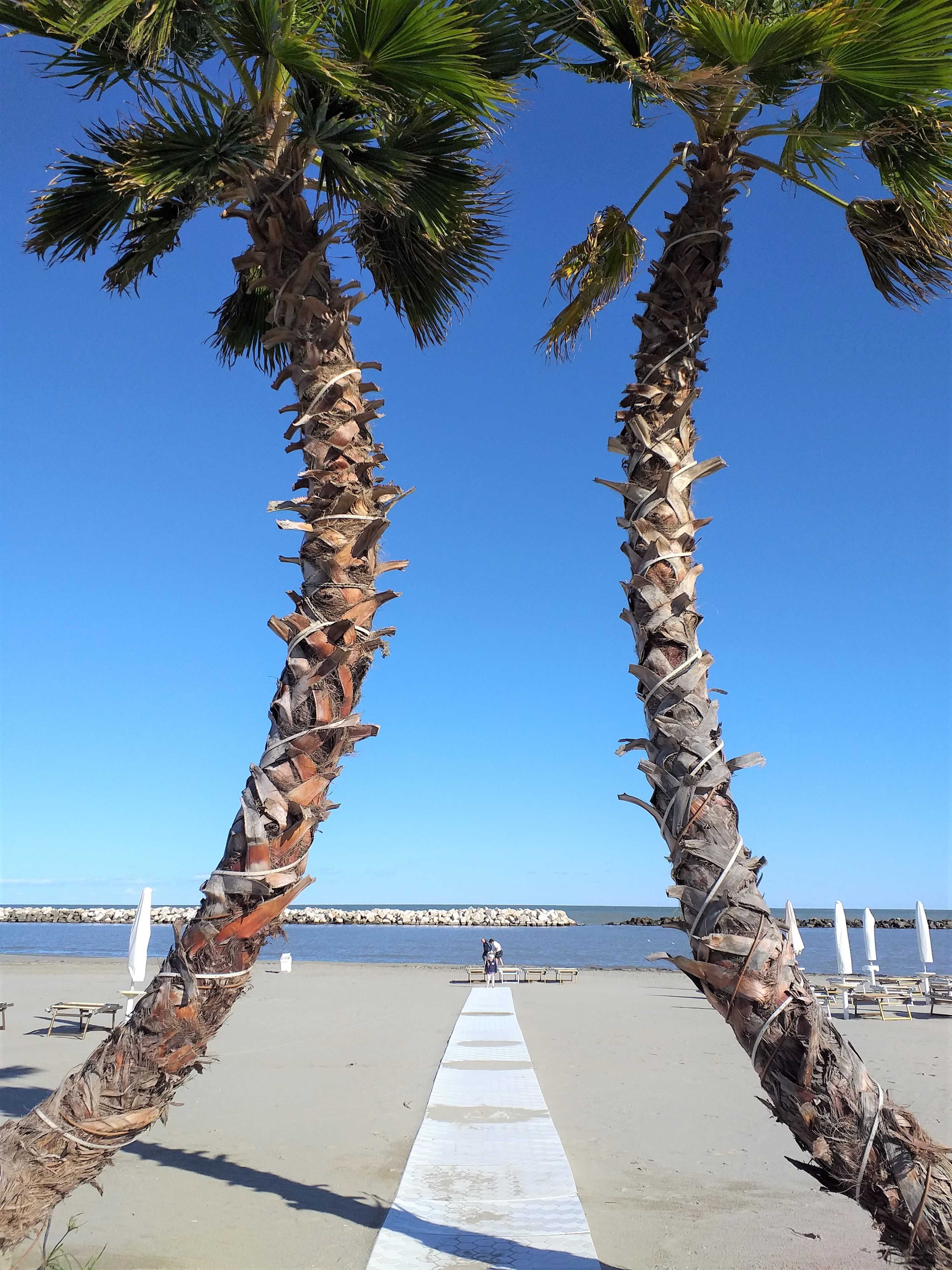 Wynajem mieszkania, Włochy, Lido delle Nazioni, 20 m od plaży