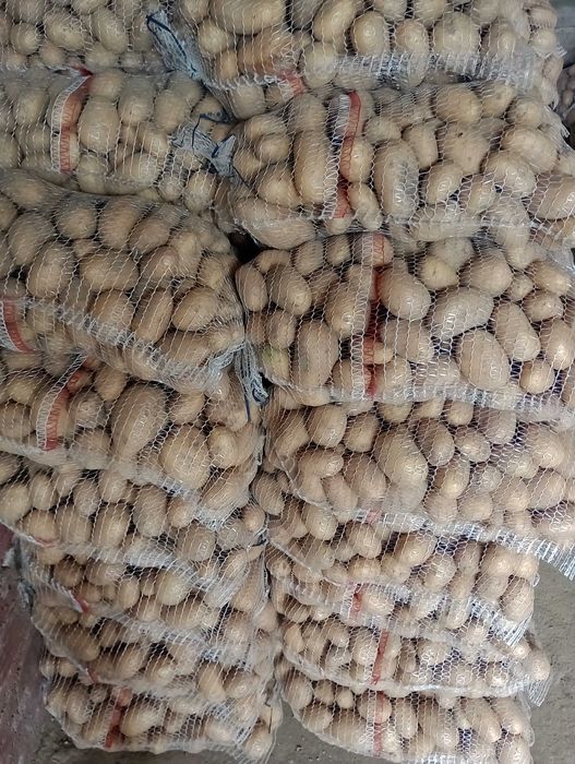 Ziemniaki catania,noya,Jurata