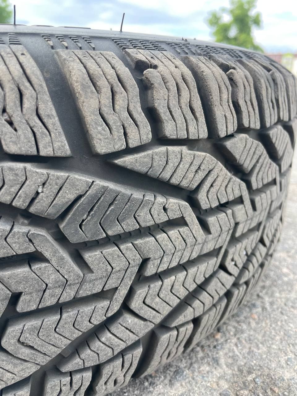 205/55/R16 Taurus,зимняя резина оригинальных дисках Kia в отличном сос
