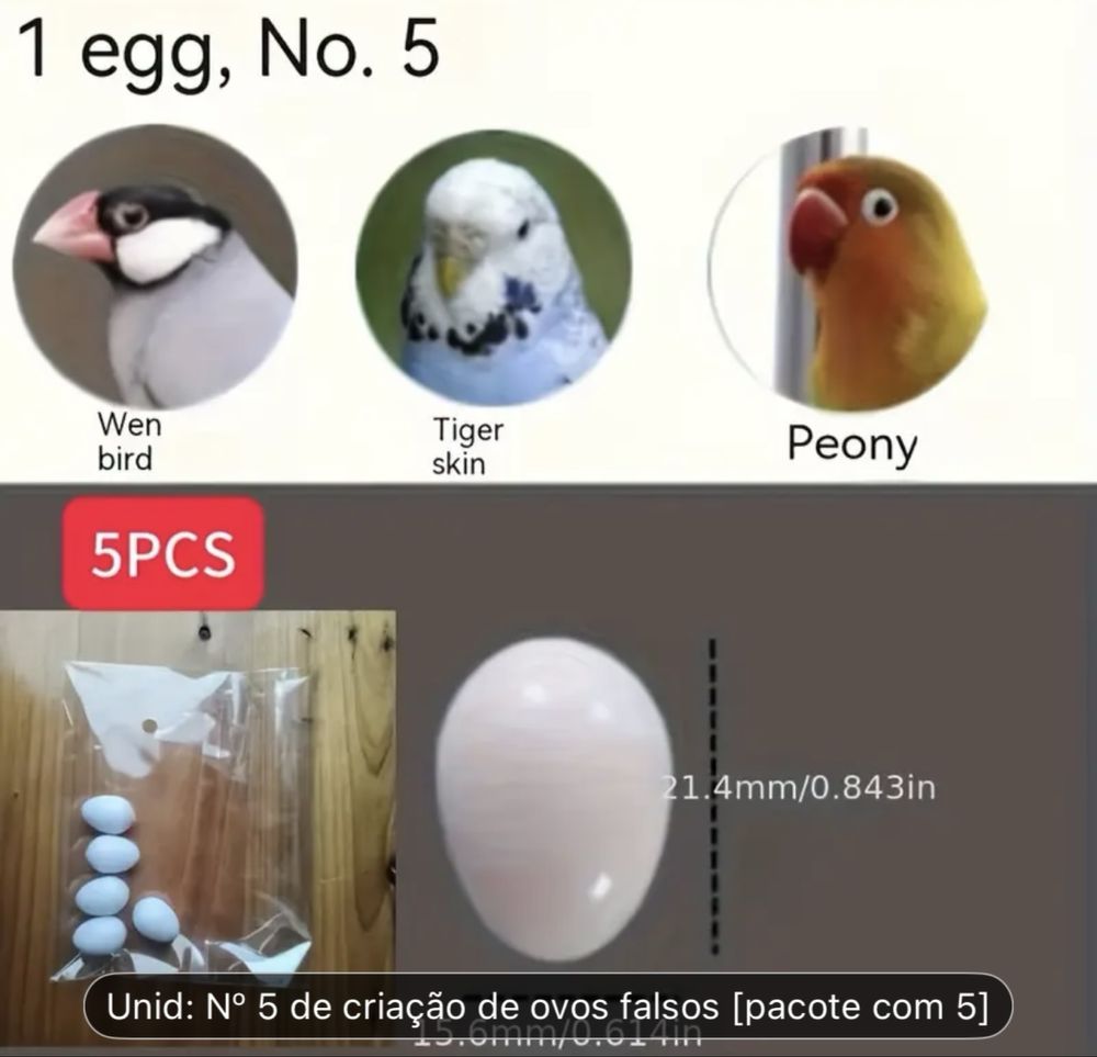 Ovos de plastico de aves