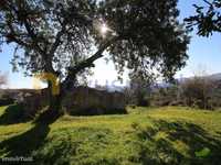 Algarve, Tavira, Ruina, Quinta para renovar, zona natural
