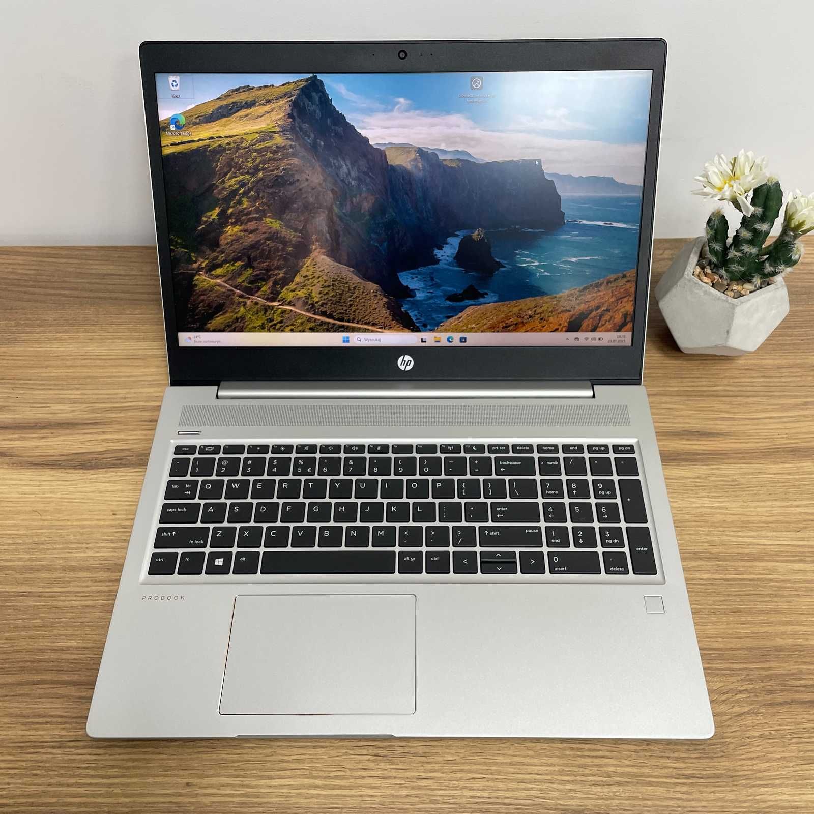 Laptop HP ProBook 455R G6 AMD Ryzen 5 3500U 16 GB 256 GB 15,6 " FHD