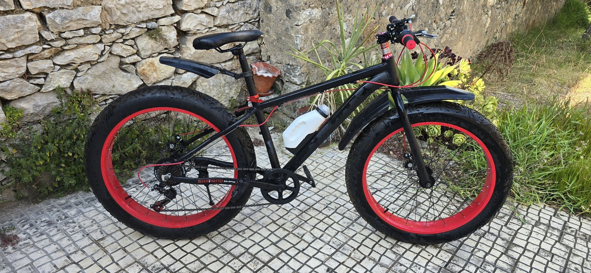Bicicleta com pneu 4.0