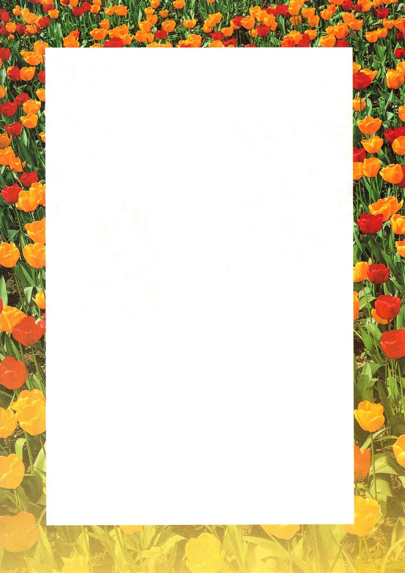 Papier Barwne arkusze A4 Tulipany 50 ark. 100 g