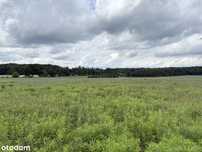Działka rolna – Puszcza Bukowa, 10 min od Szczecina, Natura 2000