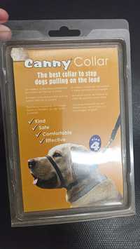 Coleira Canny Collar