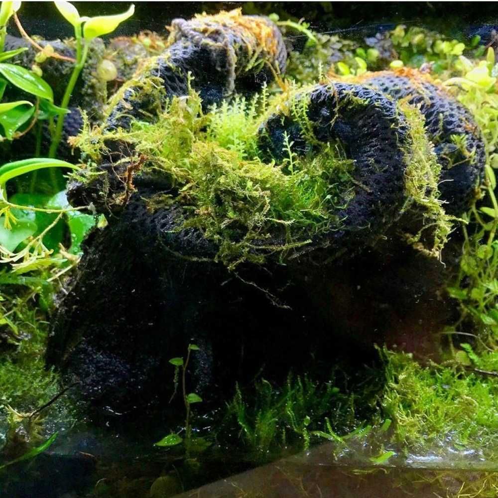 Hydrolon hygrolon podłoże do terrarium tropikalnego