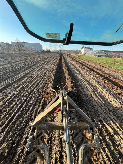 Podłoże do Borówki sadzonki rowy sadzenie torf trociny kora plantacja